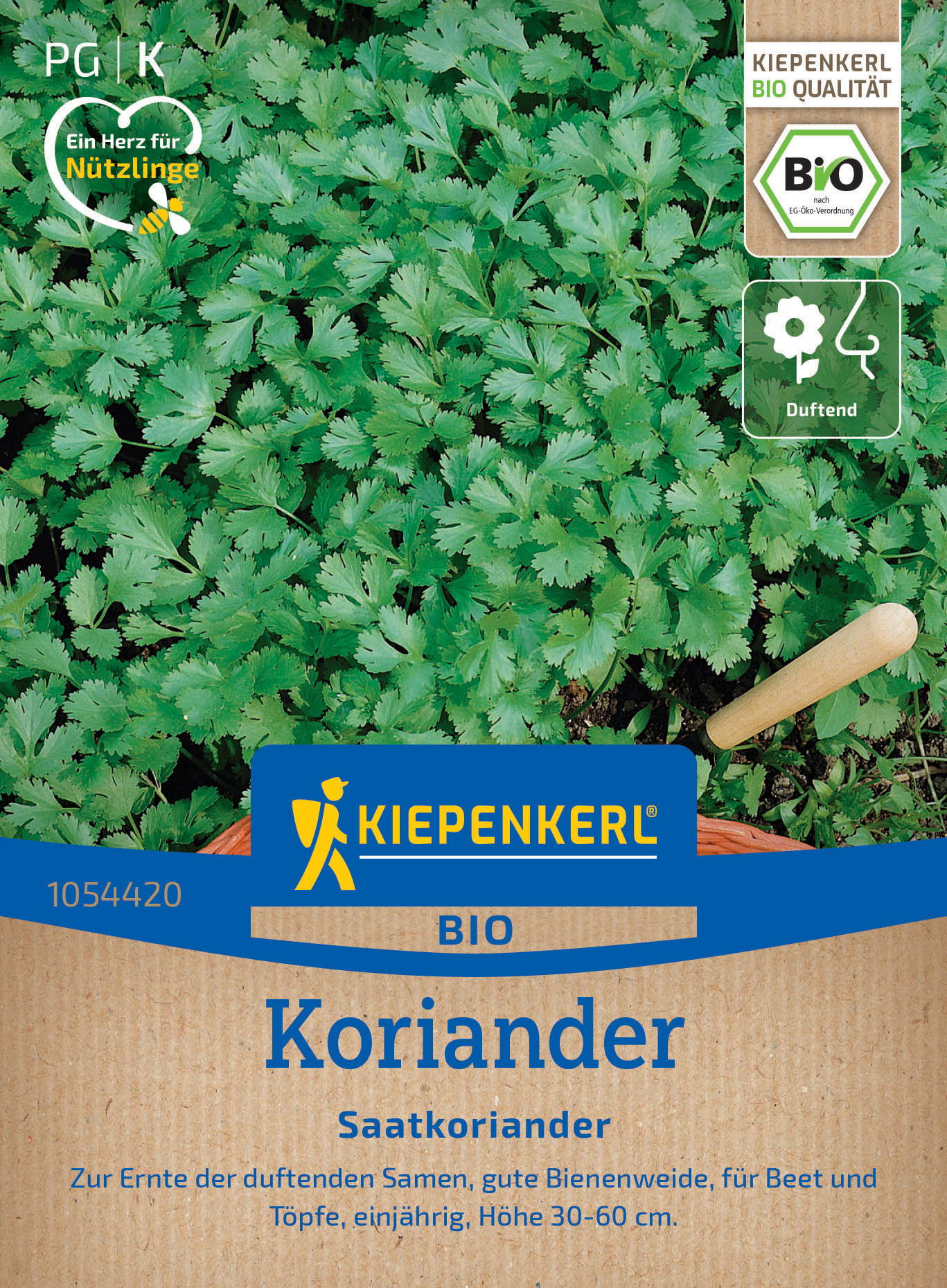 BIO Koriandersamen Saatkoriander