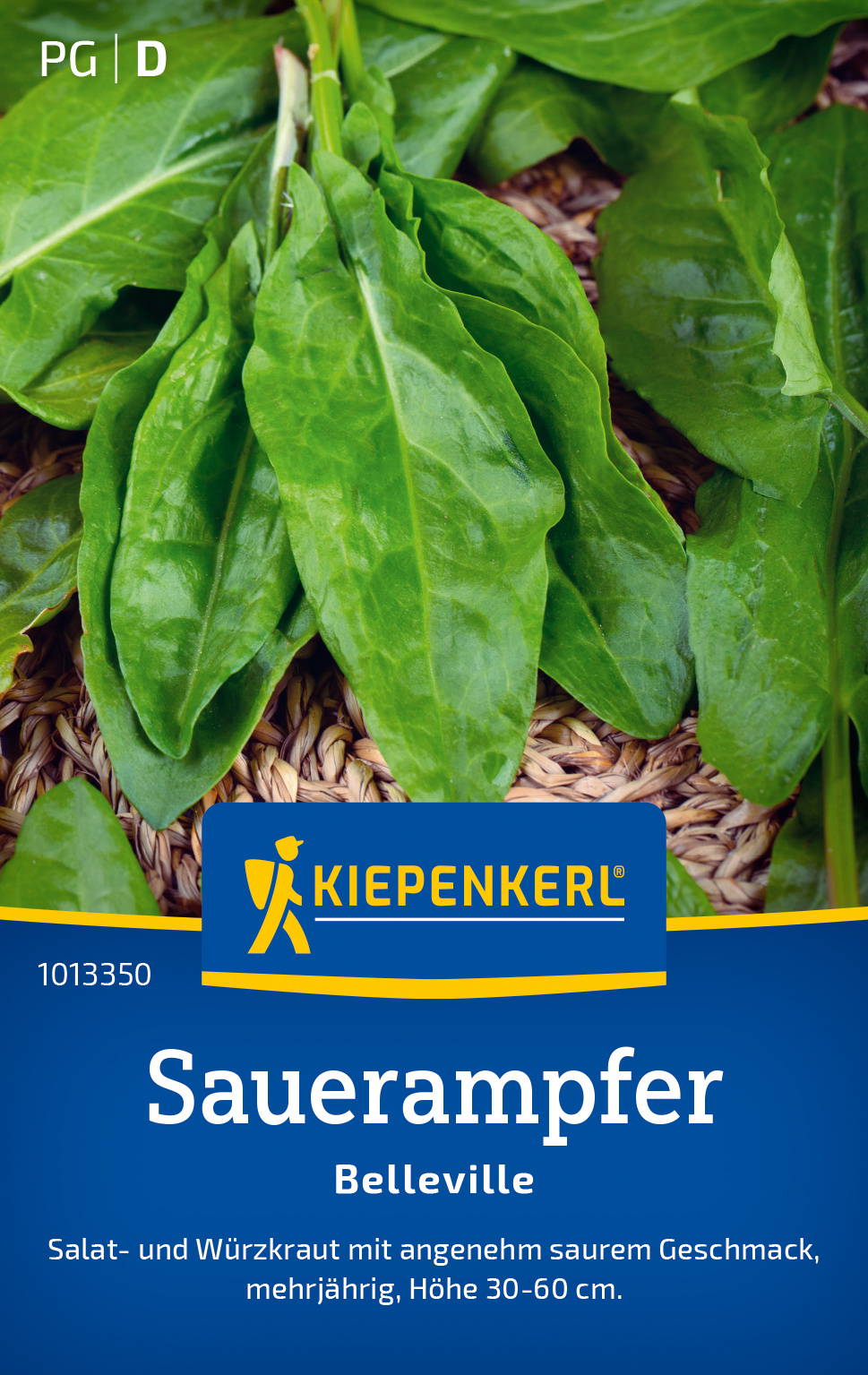 Sauerkraut Belleville mit grünen Blättern und braunem Geflecht.