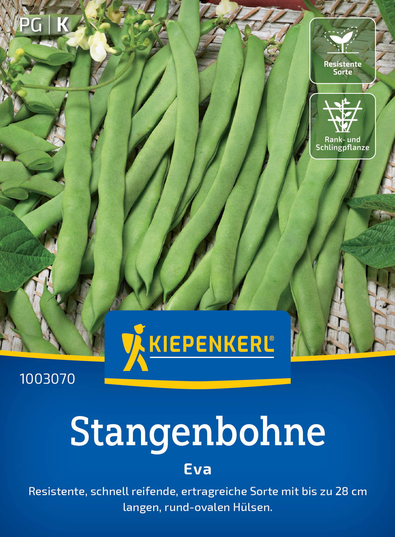 Grüne Stangenbohnen auf Verpackung mit blühender Pflanze, Körbchen und Label.