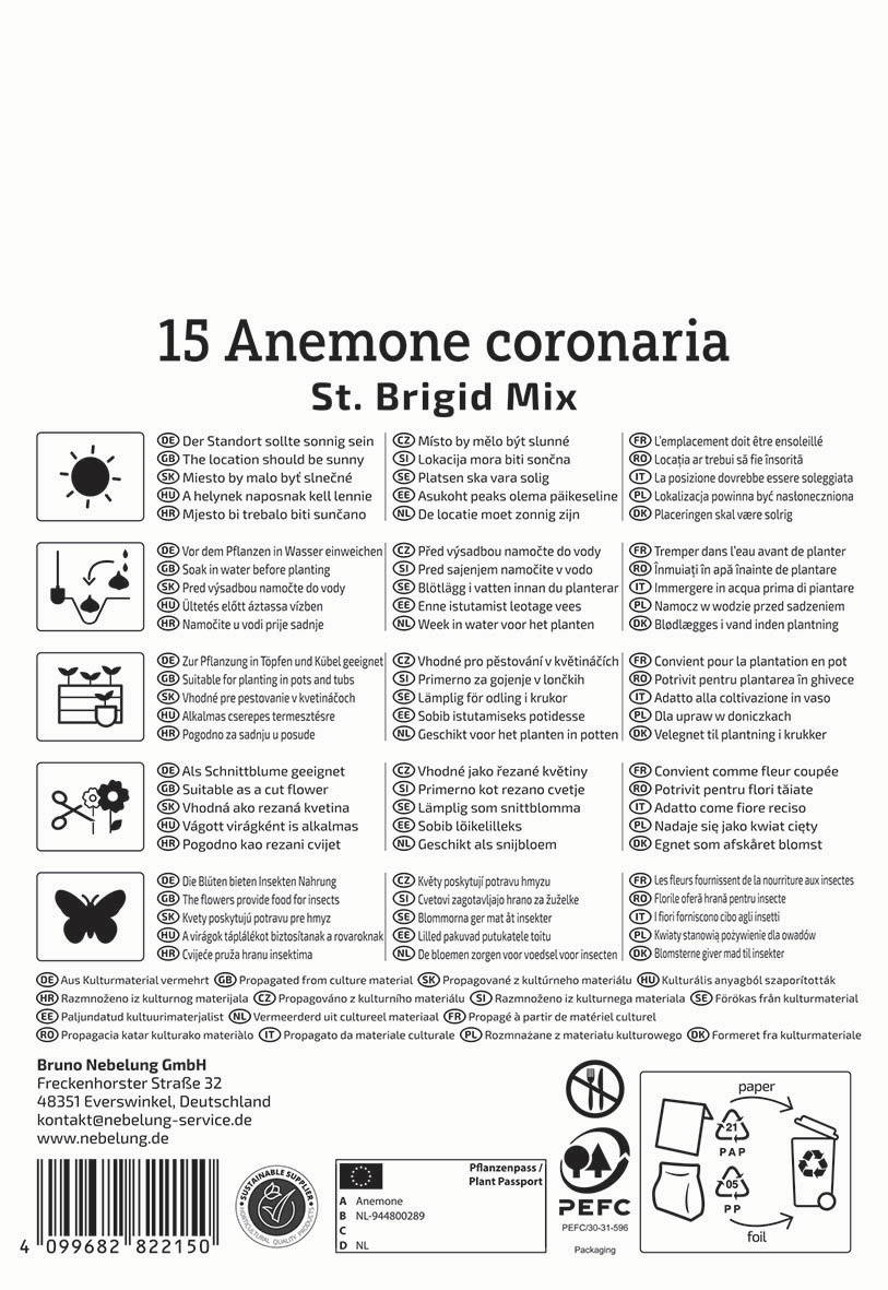 Anleitungssymbol mit Sonnenstand, Wasserpflanze, Topf, Blume, Schneidewerkzeug, Papier, Pfeil, Recycling, Pflanze, Kultur.