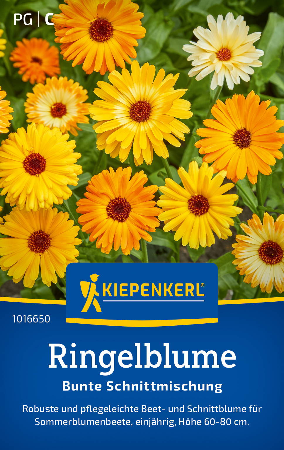 Ringelblumensamen Bunte Schnittmischung