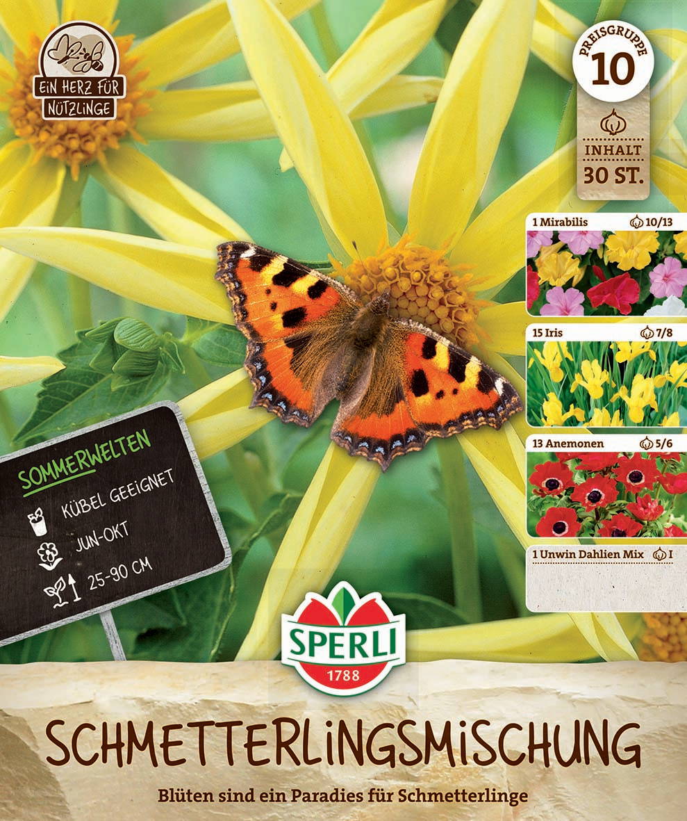 Gelbe Blume mit einem Schmetterling auf den Blütenblättern, grüne Blätter im Hintergrund.