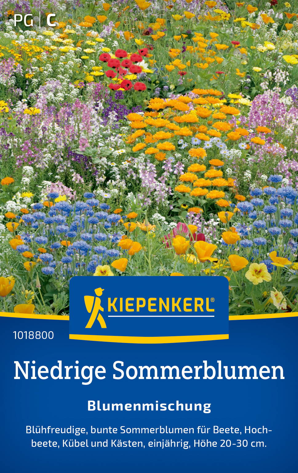 Blumensamen-Mischung Niedrige Sommerblumen