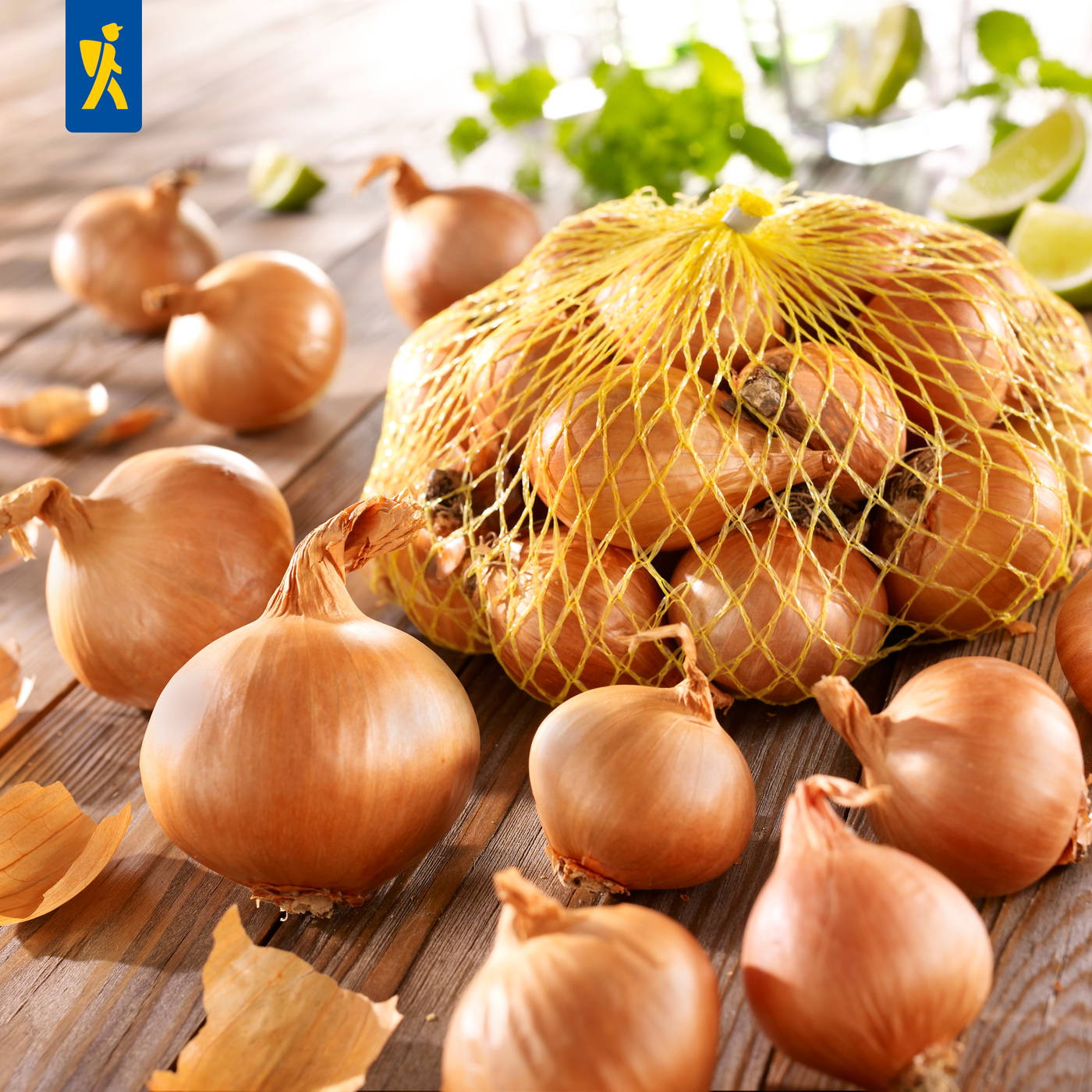 Zwiebeln in Netz, einige lose Zwiebeln und Zitronen auf Holztisch, grüne Kräuter und Limetten im Hintergrund.