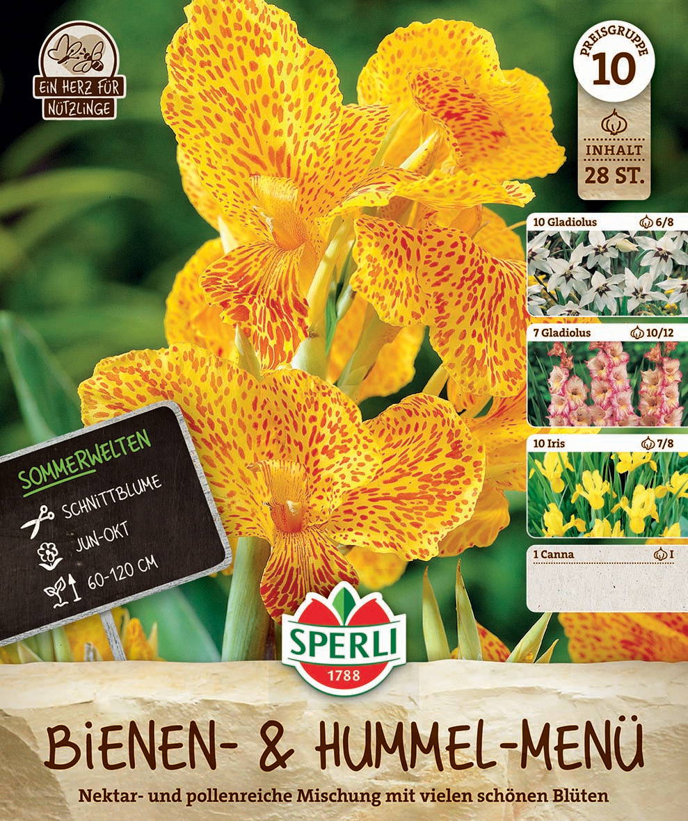 Gelbe Canna mit roten Flecken, daneben kleine Sorten der Gladiolus und Iris auf Saatgutverpackung.