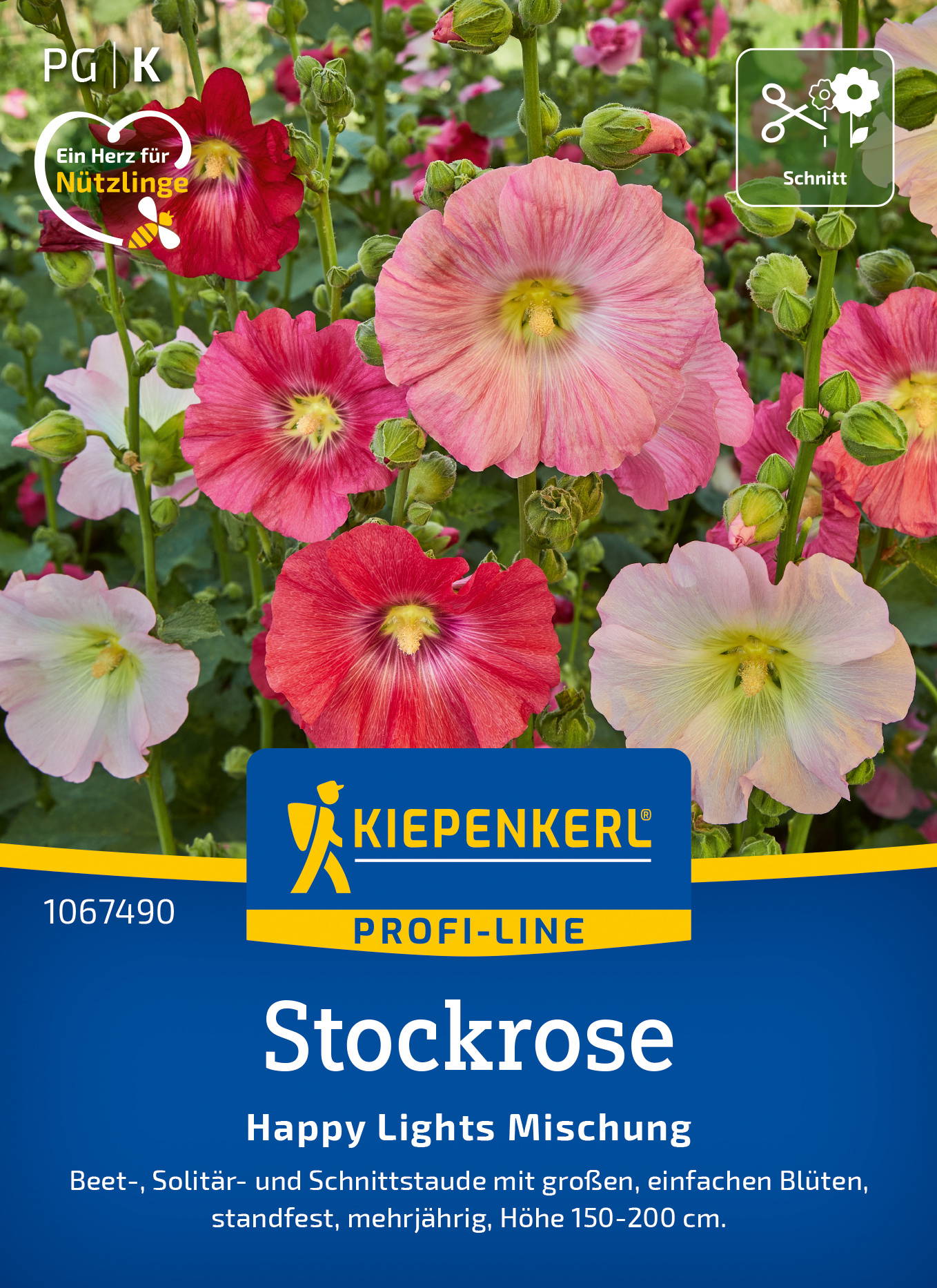 Stockrosensamen Happy Lights Mischung