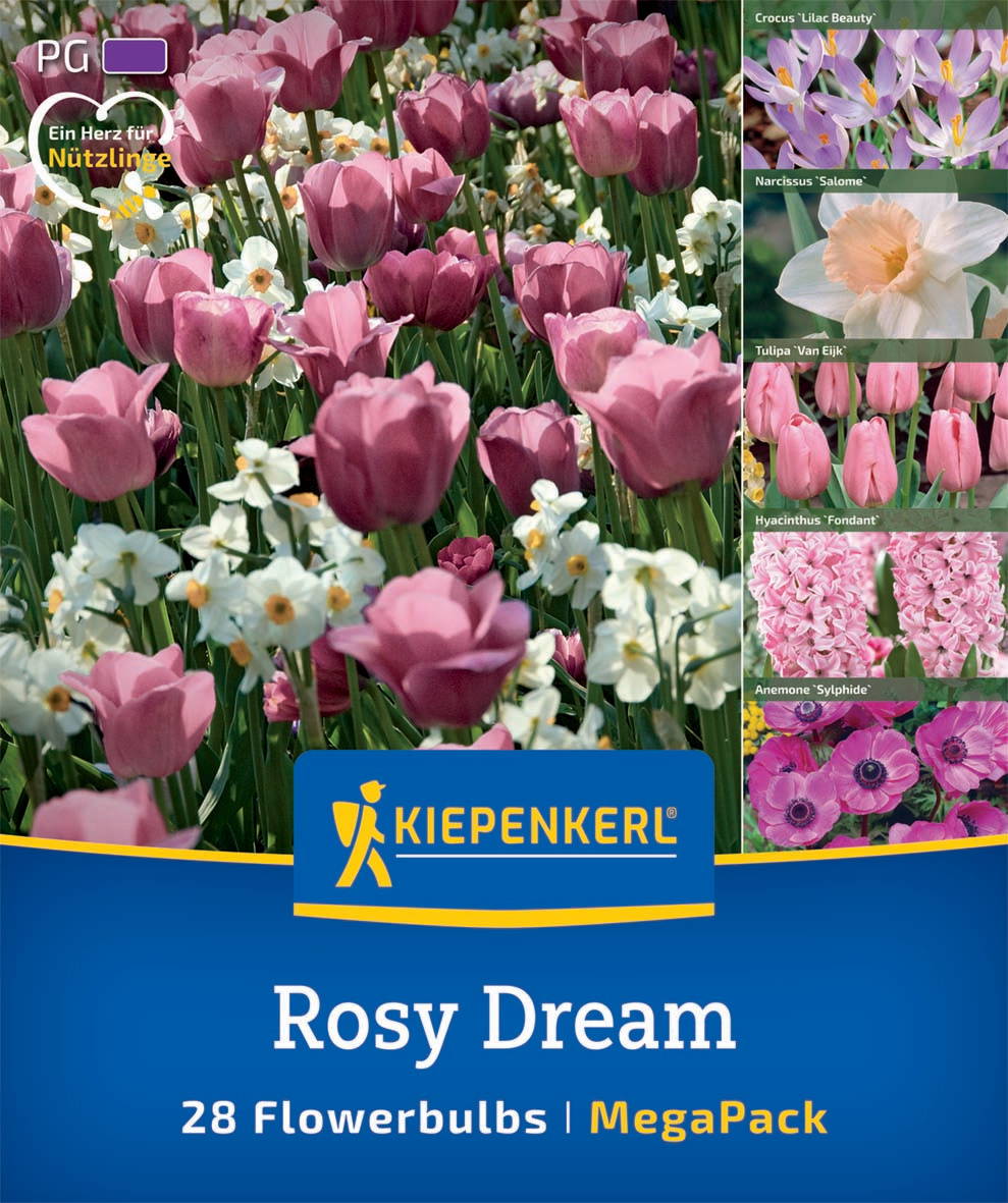 Bunte Tulpen, Narzissen, Hyacinthen und Anemonen in einem Blumenbeet, auf der rechten Seite Pflanzensorten mit Namen.