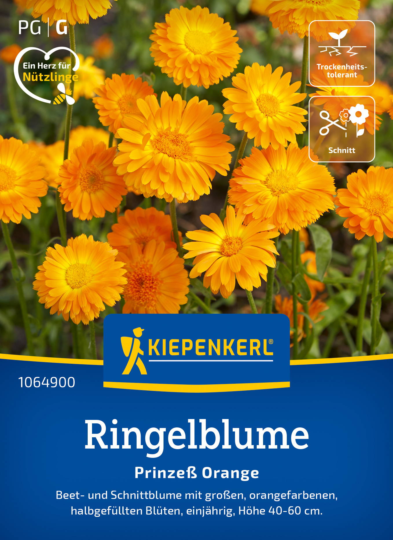 Ringelblumensamen Prinzeß Orange