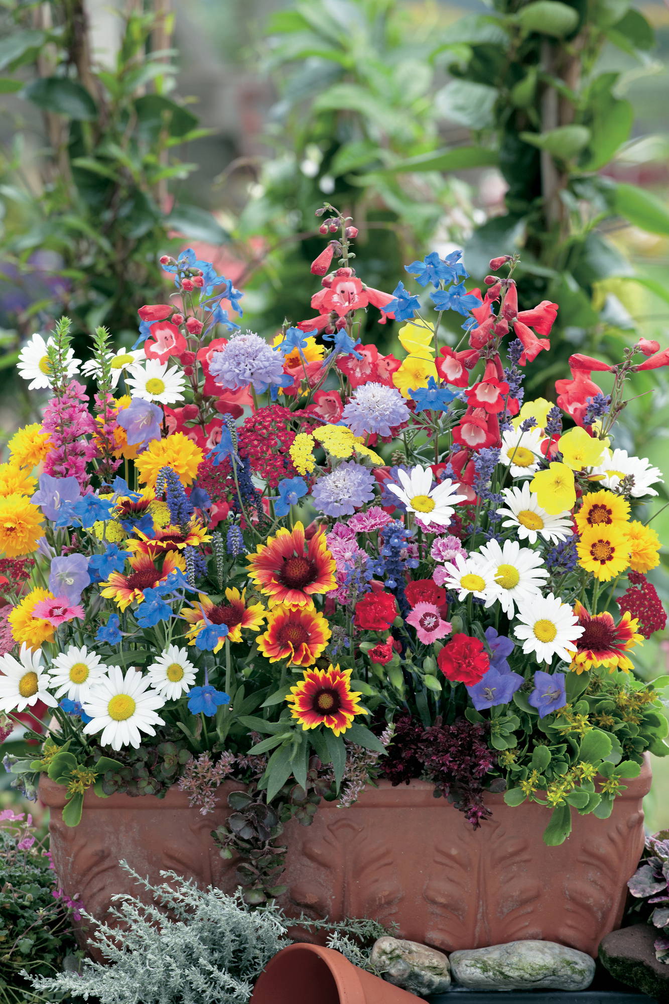 Bunte Blumen in einem großen, verzierten Terrakotta-Topf vor grünem Hintergrund.