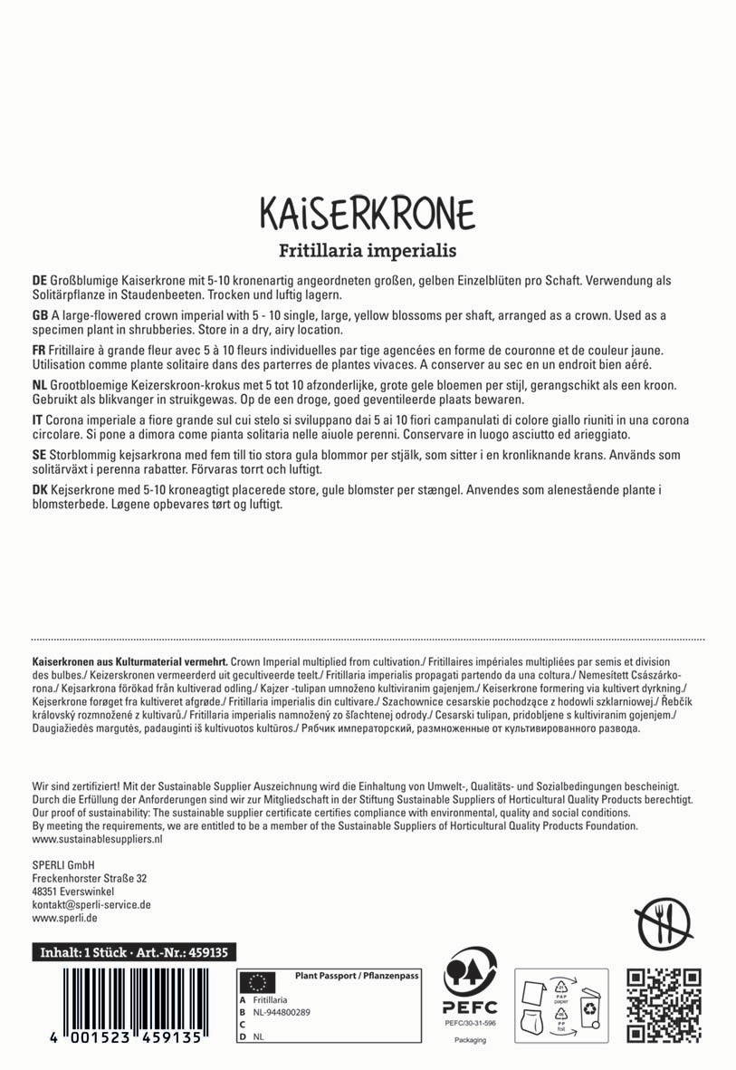 Kaiserkrone mit gelben Einzelblüten, 5-10 groß, blüht an stängel, in Erde oder blumenbstand.