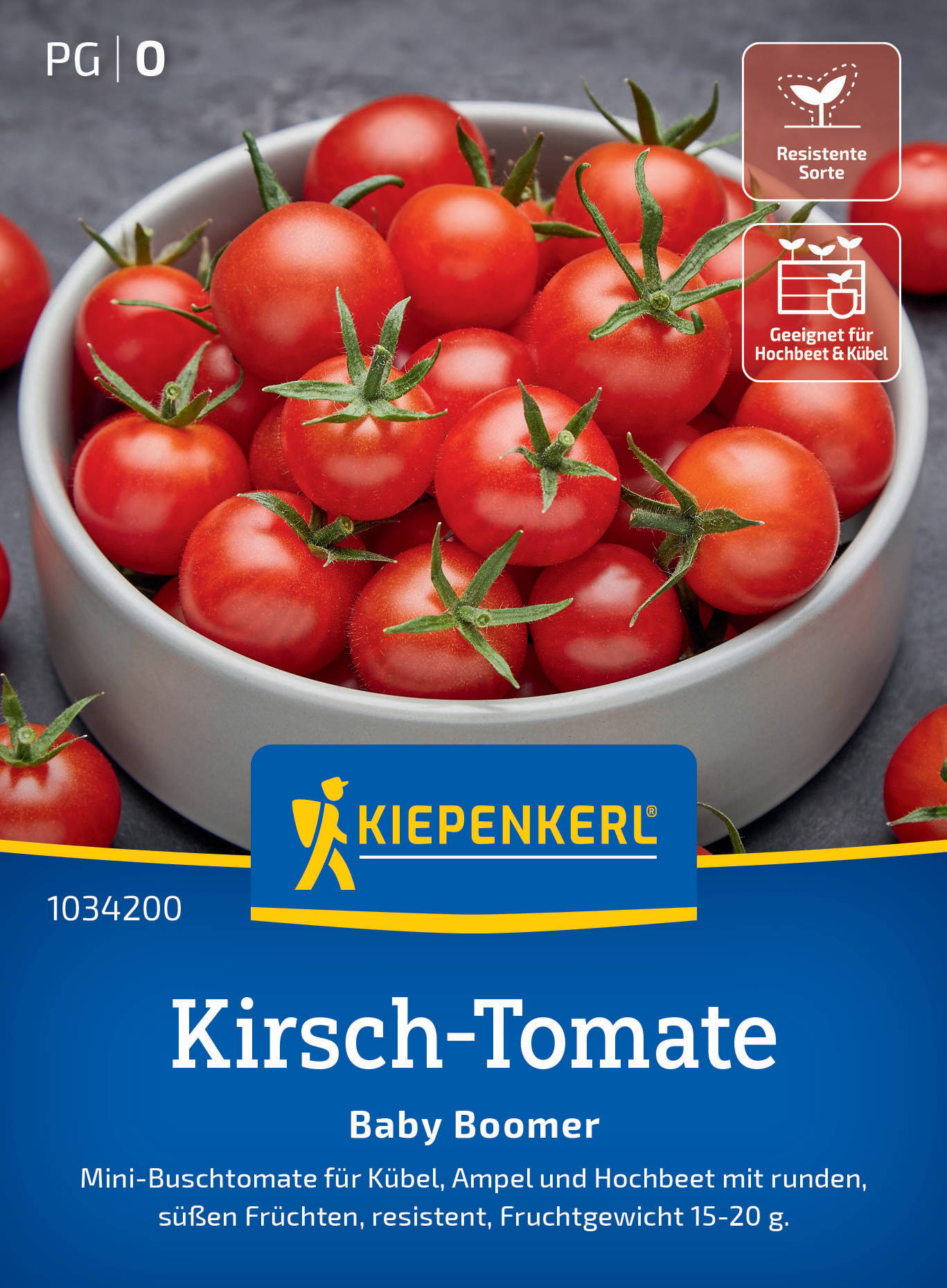Kleine rote Cherry-Tomaten in weißer Schale, einige auf grauem Hintergrund.