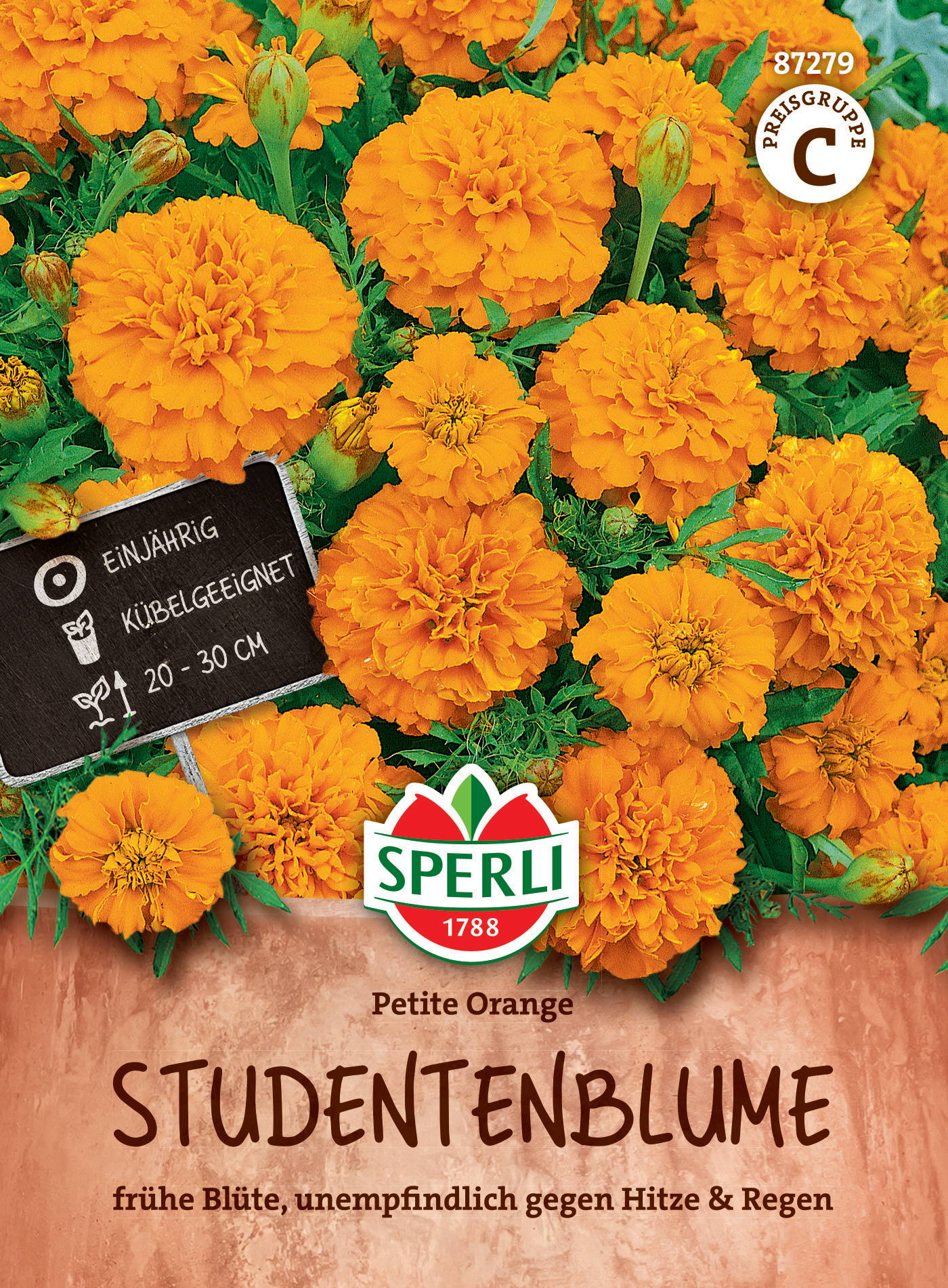 Dinamik orange Studentenblumen mit doppelten Blüten, für Beete geeignet, 20-30 cm hoch, einjährig.
