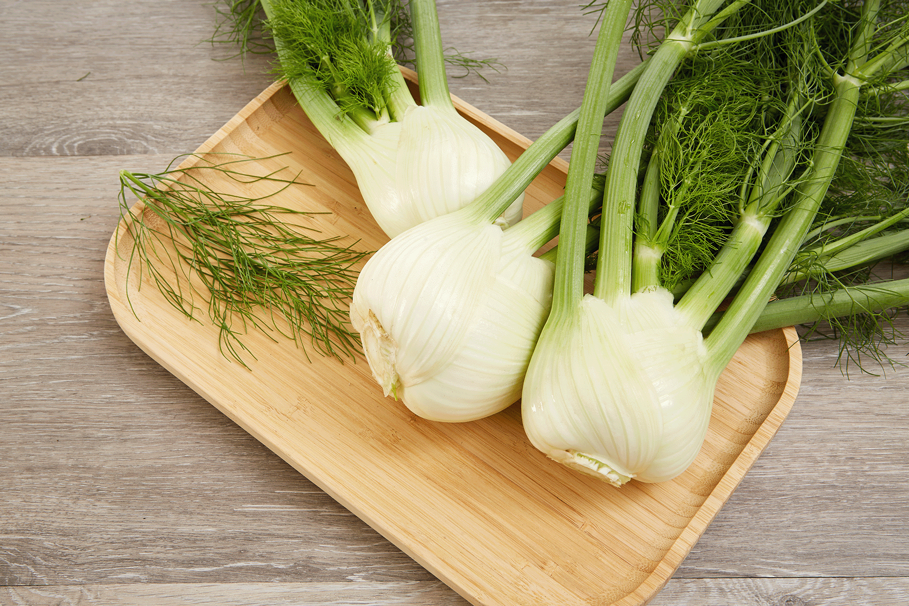 Fenchel Anbau, Pflege, Ernte, Keimdauer & Sorten
