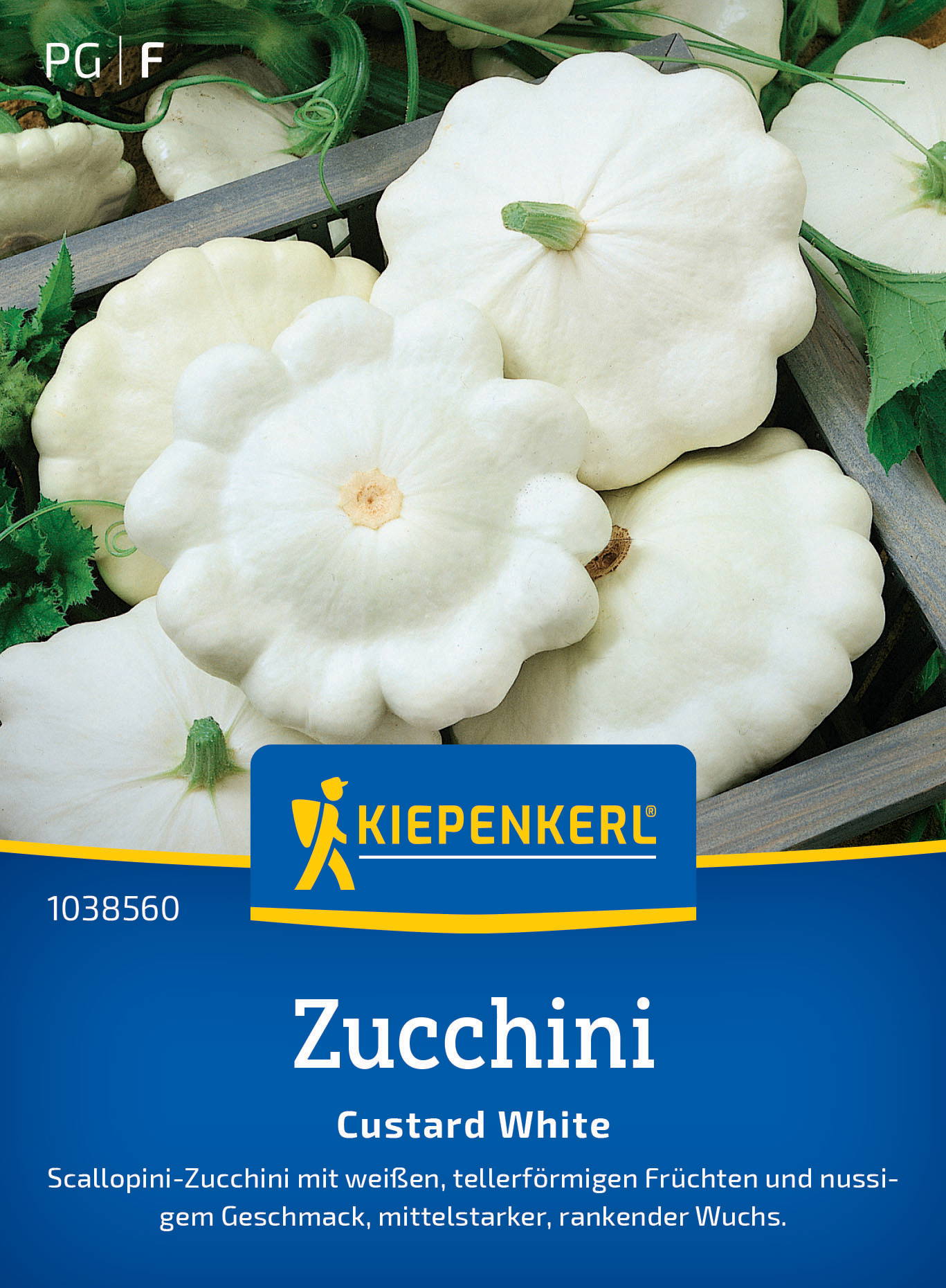 Zucchinisamen Custard White