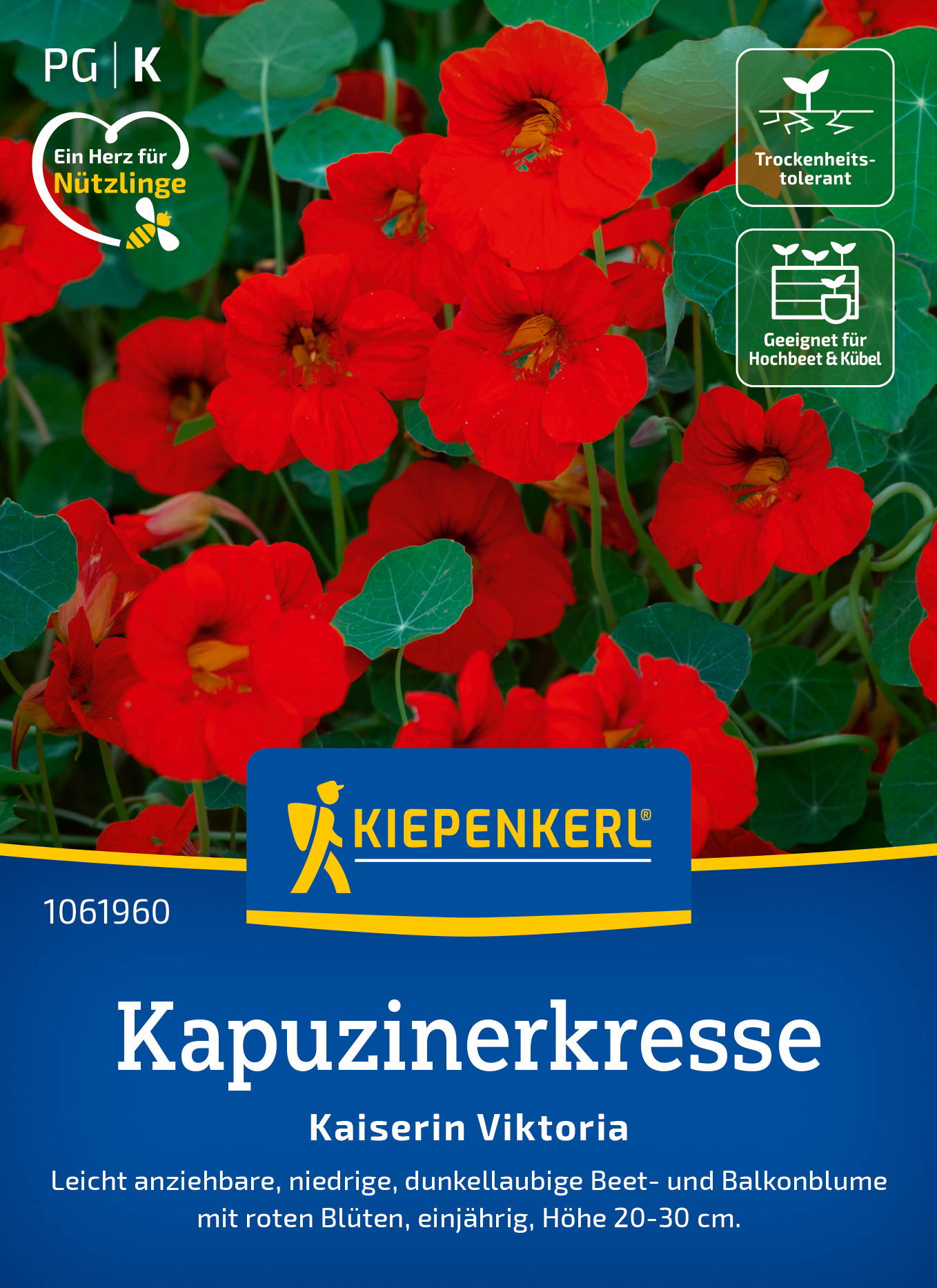 Kapuzinerkressesamen Kaiserin Viktoria