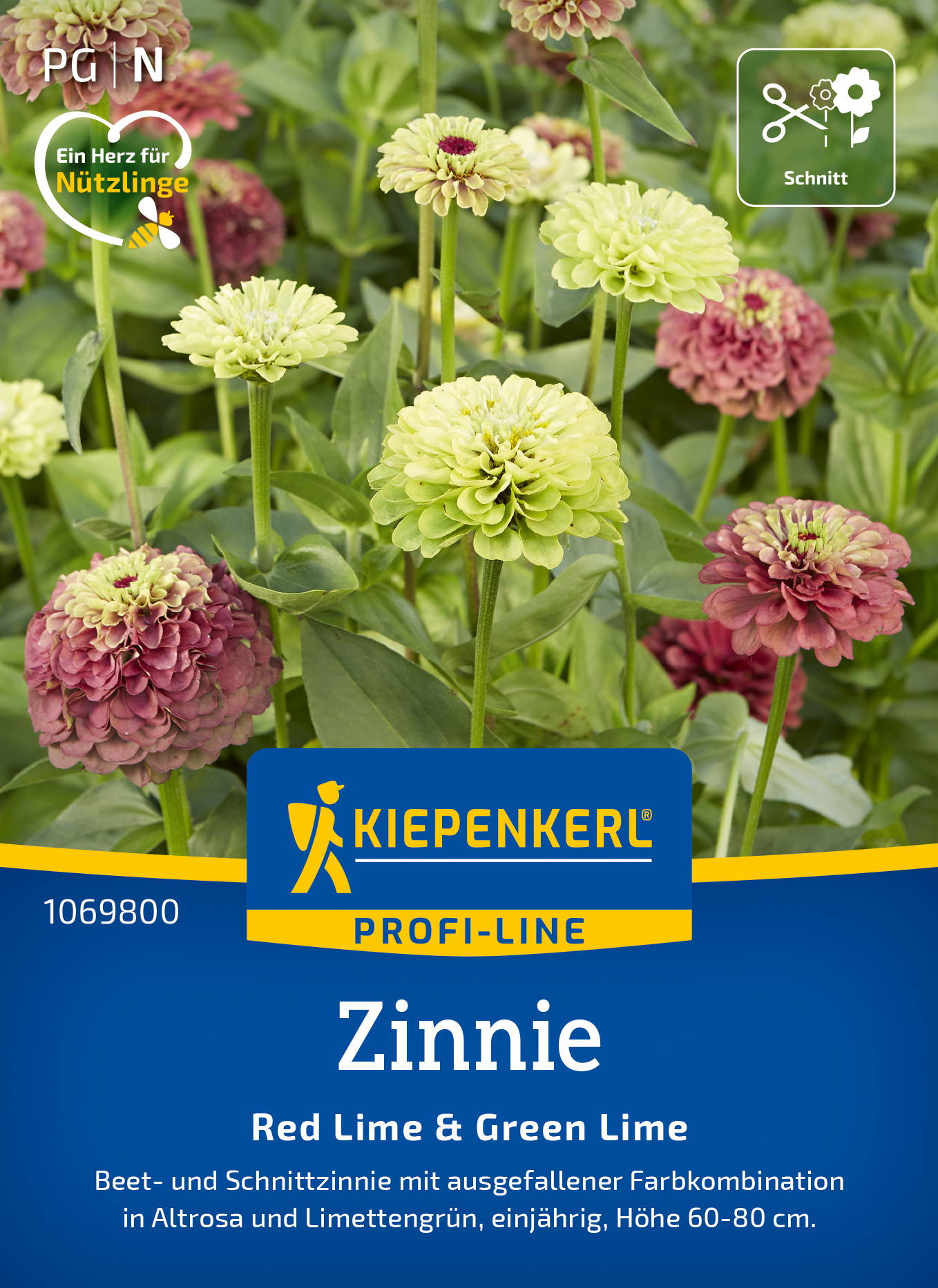 Zinniensamen Red Lime & Green Lime