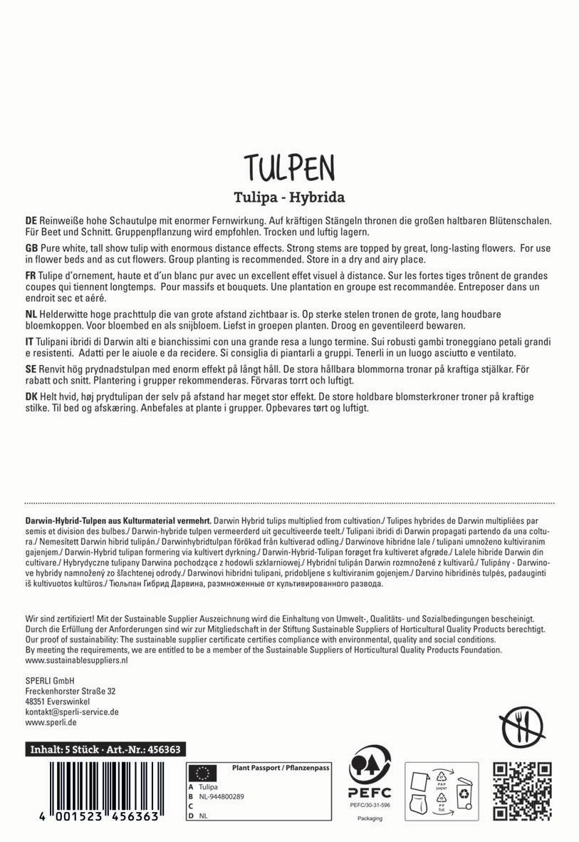 Textilpaket mit fünf Tulpen in verschiedenen Farben auf weißem Hintergrund.