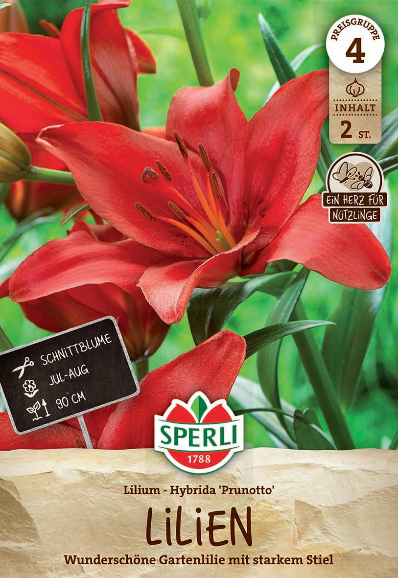Rote Lilienblüte mit grünen Blättern im Hintergrund, Verpackung für Gartenlilie, Marke Sperli.