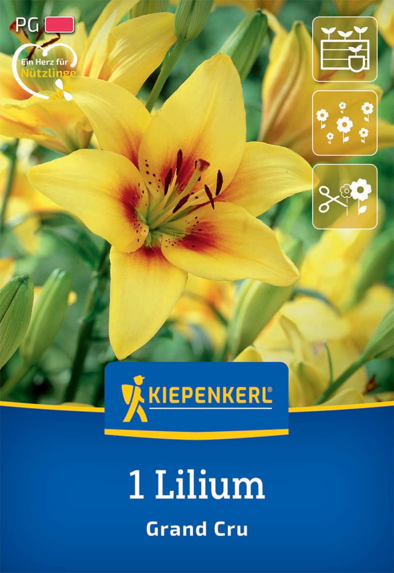Gelber Lilienblumen mit roten Flecken, umgeben von grünen Stängeln und Blättern.