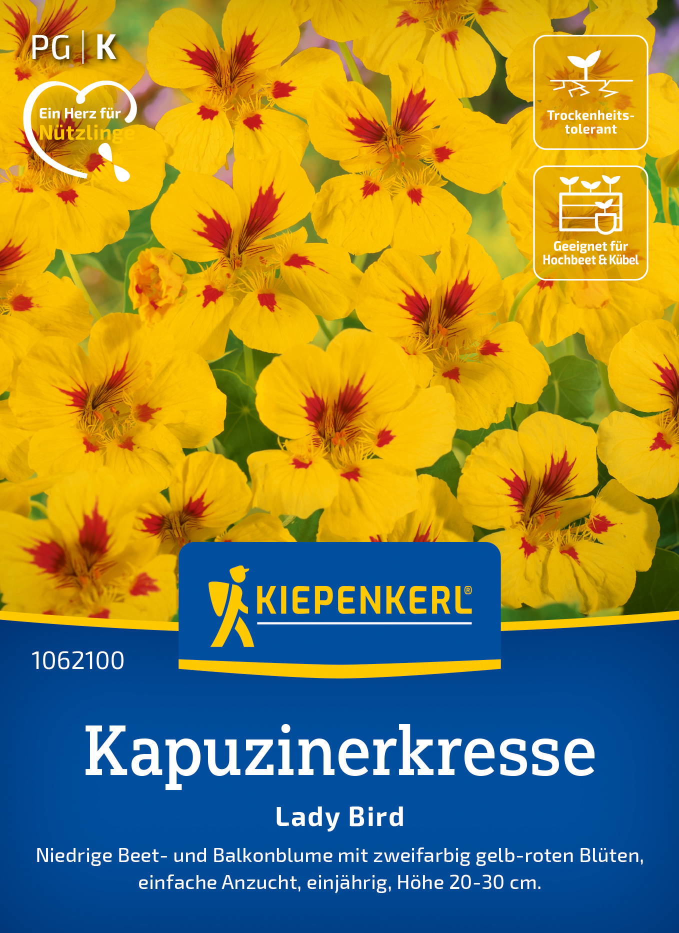 Kapuzinerkressesamen Lady Bird