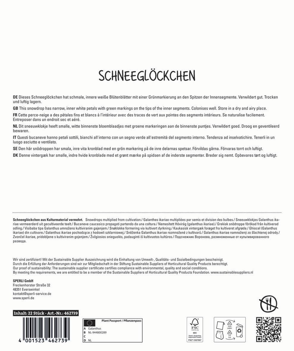 Nurein innerer weißer Blütenkelch mit grünen Markierungen an den Spitzen, schmal, klein, trocken, luftgetrocknet.
