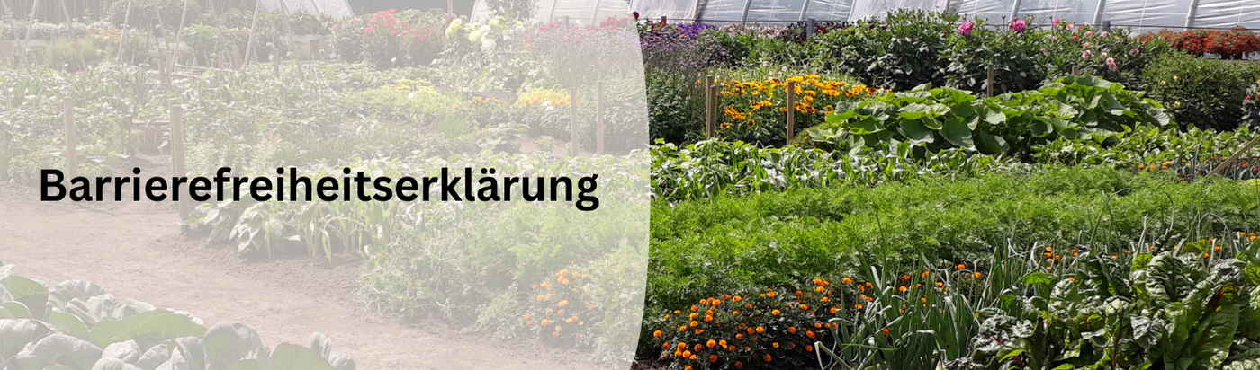 Garten mit verschiedenen Pflanzen mit Text 'Barrierefreiheitserklärung'