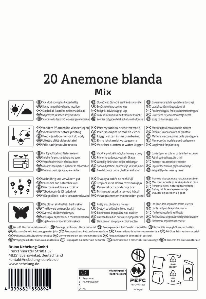 Angeblich Verpackung von 20 weißen Anemonen, Mix, Pflanzpass, Symbole für Wasser, Insekten, nachhaltige Pflanzen.