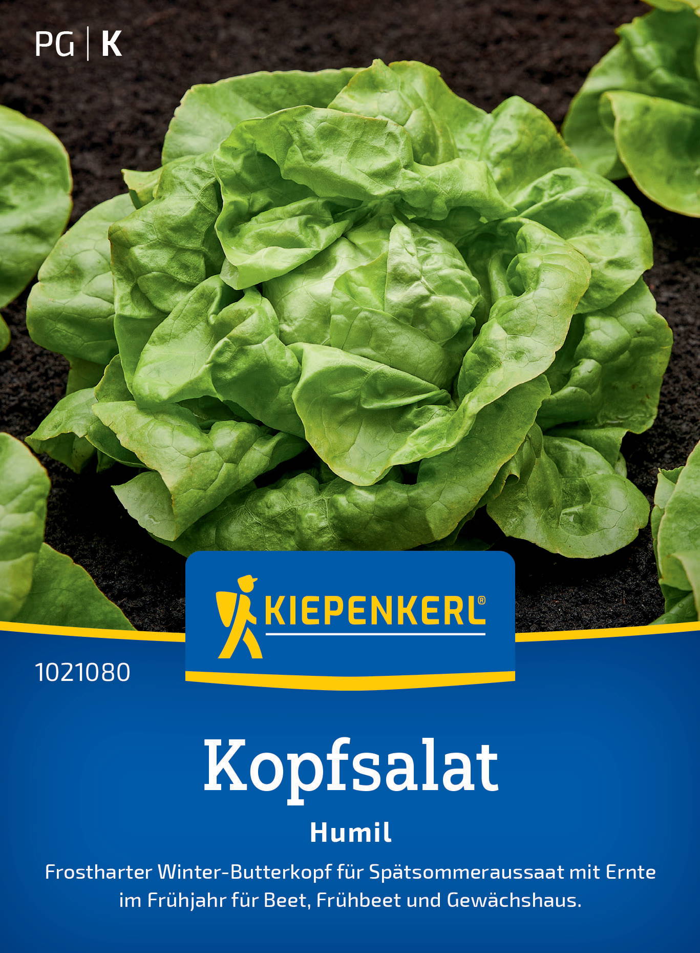 Grüner Kopfsalat auf dunklem Boden mit blauer Verpackungsbeschriftung, Logo, Produktname und Text.