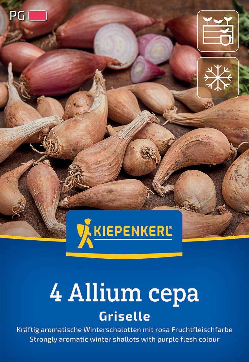 Schnittlauchzwiebeln und Zwiebeln auf braunem Küchenboden, Verpackung von Kiepenkerl.