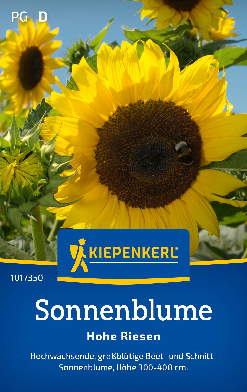 Sonnenblumensamen Hohe Riesen