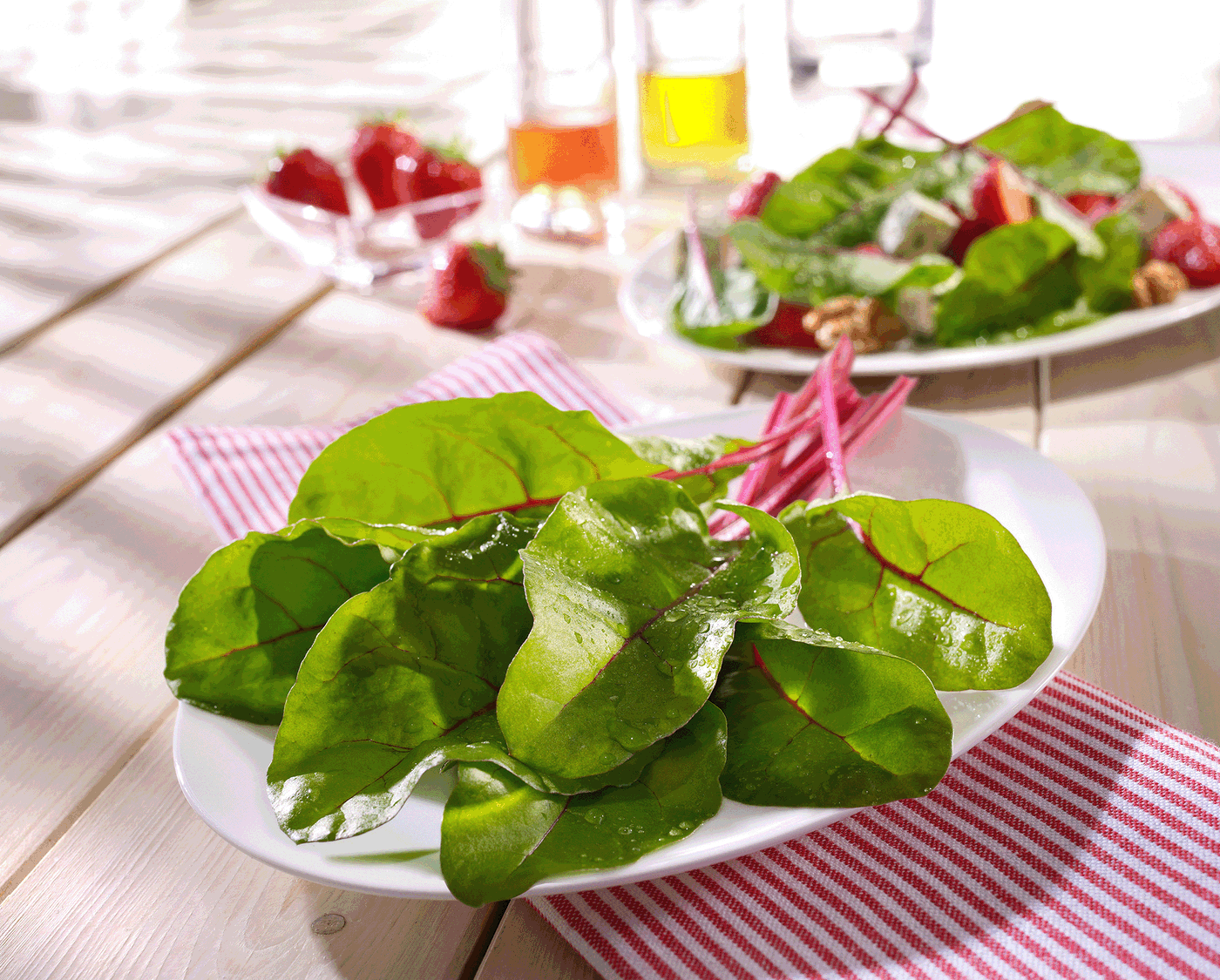 Frischer Rote-Bete-Salat mit Blättern und Stielen auf weißem Teller, im Hintergrund weitere Salat und Getränke.