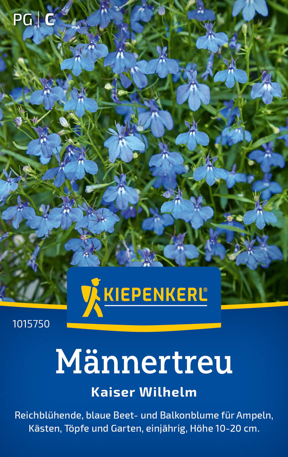 BlaueBeet-und Balkonblumen für Ampeln, Küsten, Töpfe und Garten, einjährig, Höhe 10-20 cm.