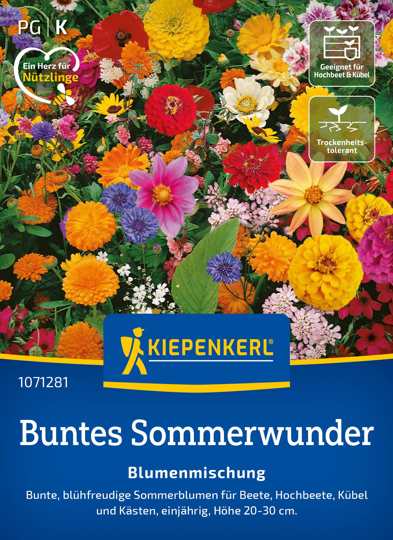 Bunte Sommerwunder Blumensaatz mit vielfältigen bunten Blumen auf einem Blumenbeet.
