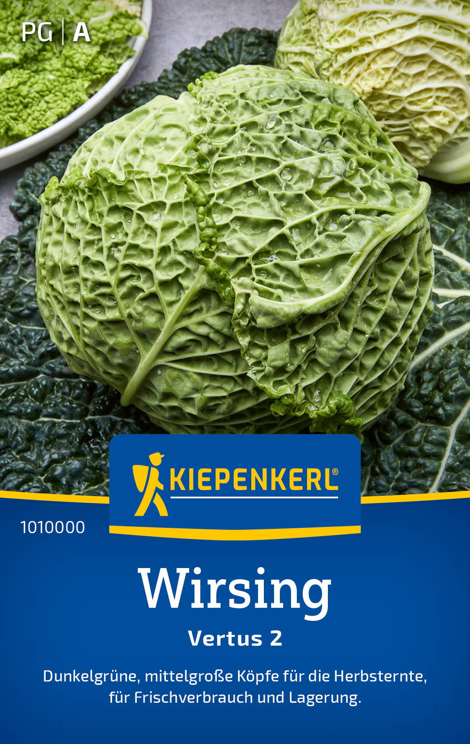 Wirsingsamen Vertus 2