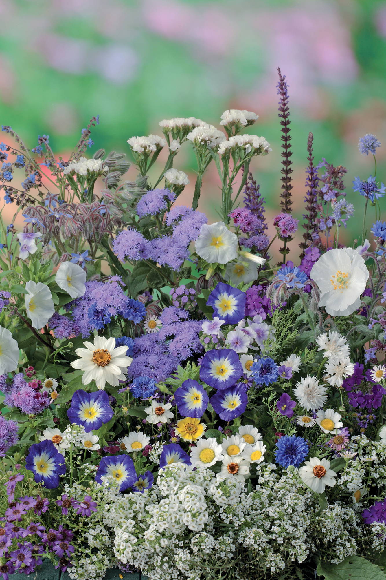 Buntes Blumenarrangement aus weißen, lila, blauen und gelben Blüten mit unterschiedlichen Formen und Blattformen.