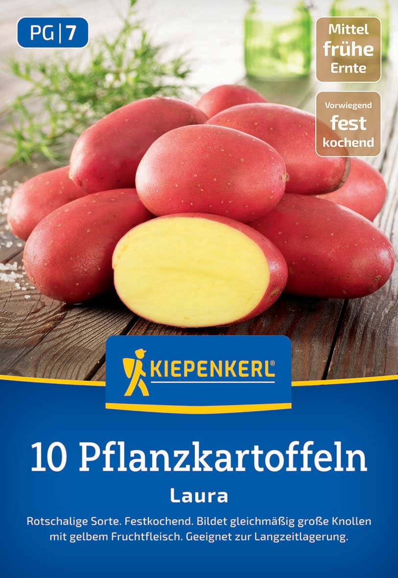 Rote Pflanzkartoffeln mit gelbem Fruchtfleisch auf Holztafel, grüner Hintergrund, Verpackung mit blauer und brauner Etikette.
