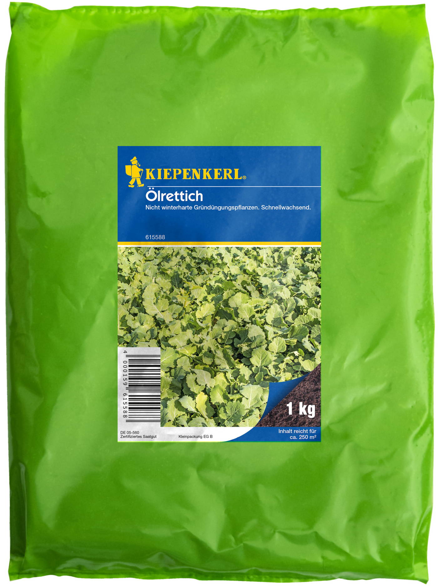 Ölrettich, 1 kg