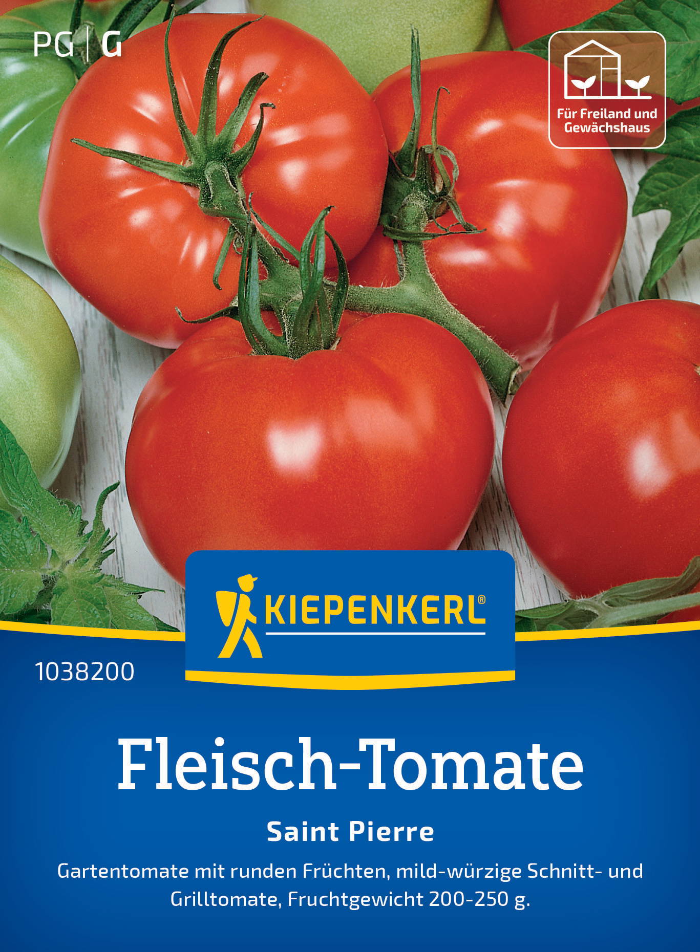 Fleisch-Tomatensamen Saint Pierre