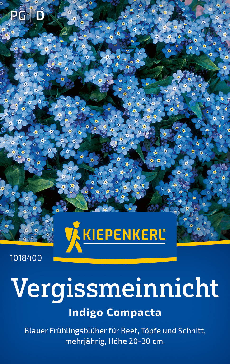 Vergissmeinnichtsamen Indigo Compacta