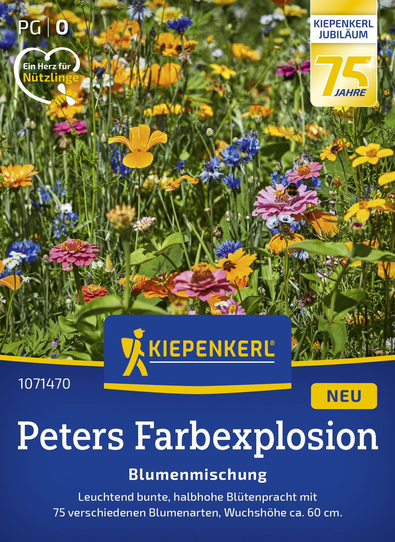 Bunte Wildblumen im Garten mit verschiedenfarbenen Blumen, einige Bienen auf Blüten, grünes Laub.