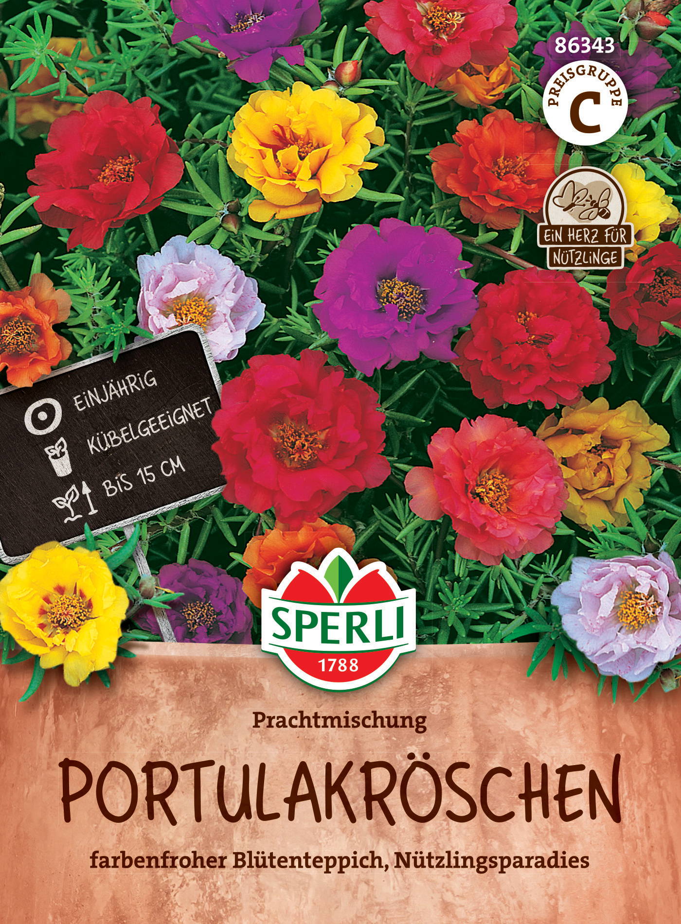 Bunte Portulakrosen auf Blumentopf, für Kinder, ein Jahr alt, bis 15 cm hoch, geeignet zum Anlehnen.
