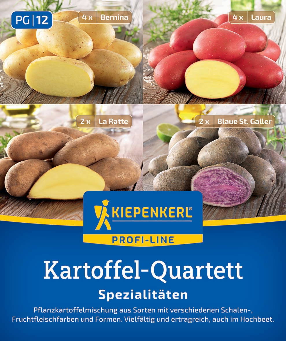 Vier Sorten Kartoffeln mit unterschiedlichen Farben und Formen, jeweils mit Kennzeichnung der Sorten.