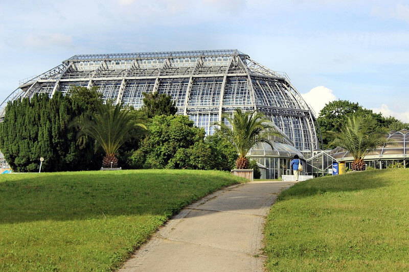Gewächshaus mit Palmen im Park, Personen am Eingang, Weg führt zum Gebäude.