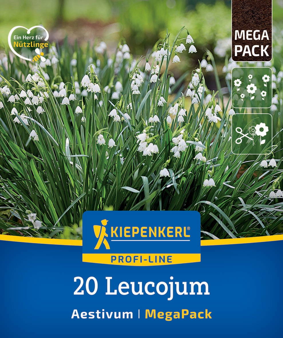 Weiße Maiglöckchen im Grün, auf Verpackung abgebildet.