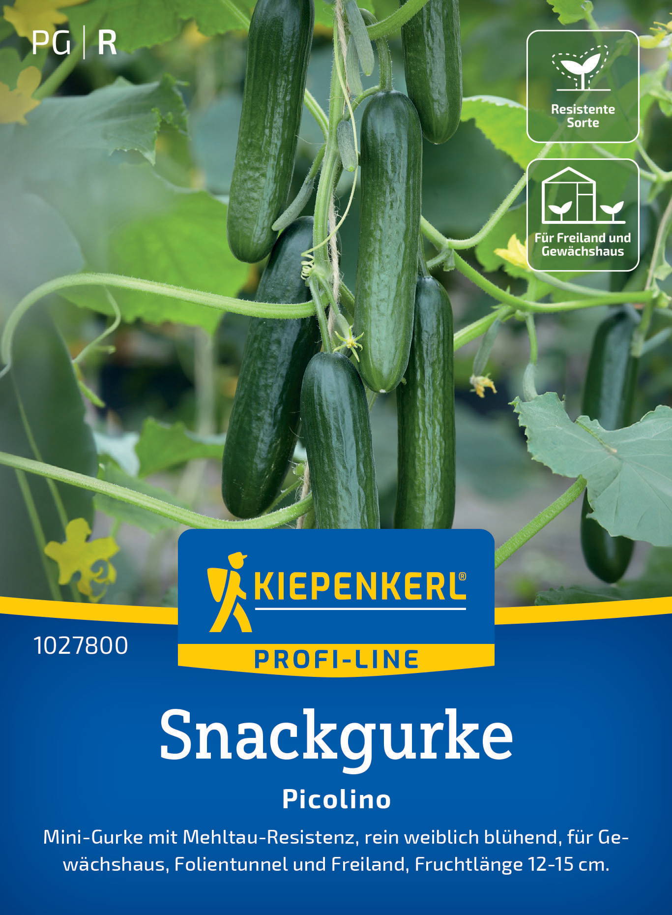 Snackgurkensamen Picolino, F1