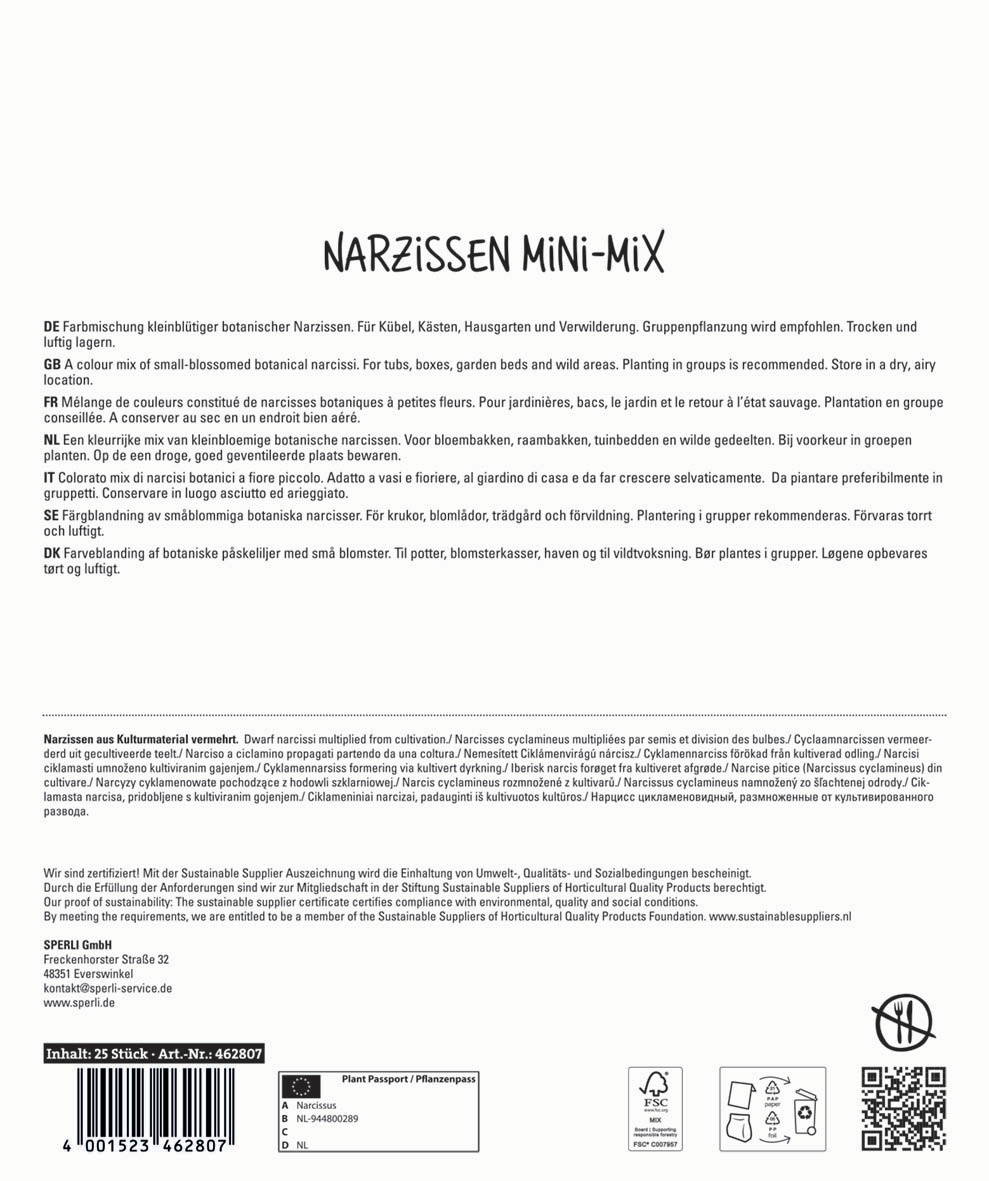 Kleine botanische Narzissen-Mischung, für Kübel, Kästen, Garten, Verwandlung, trocken und luftig gelagert.