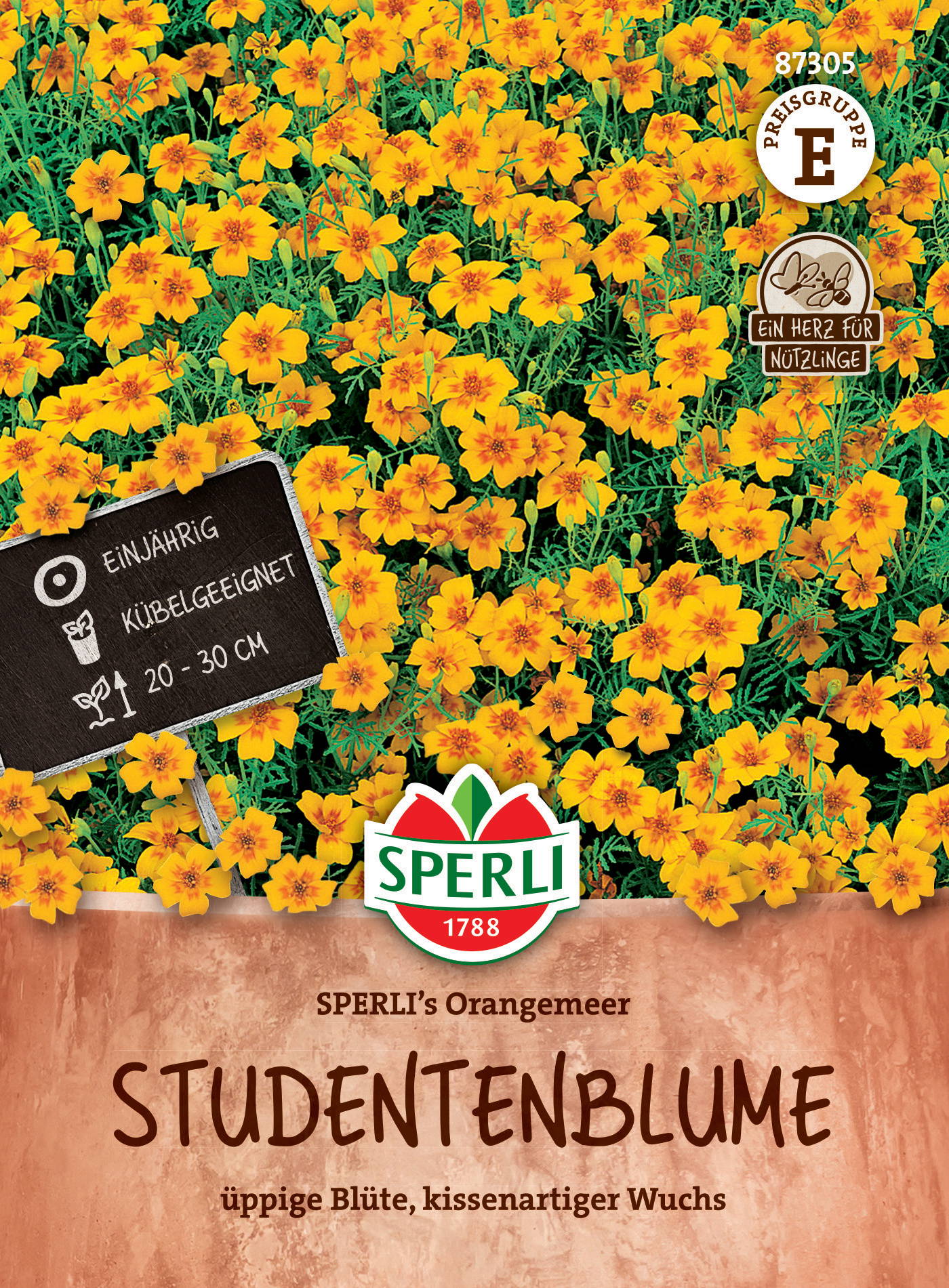 Gelbe blühende Studentenblumen in Topf, 20 bis 30 cm hoch, einjährig, kugelgeeignet, mit orangefarbenen Blüten.