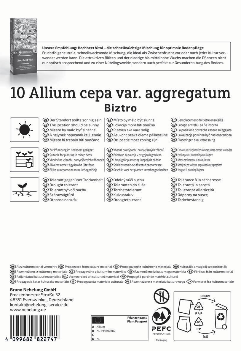 Samenblätter, Text und Symbole für Allium cepa var. aggregatum auf Verpackung.