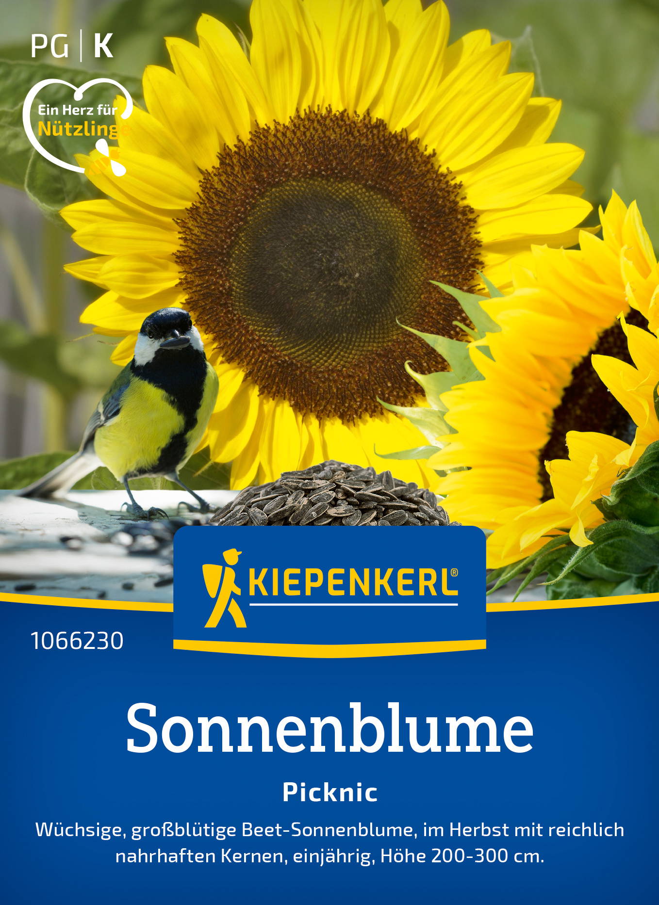 Große Sonnenblume mit gelben Blüten, Sonnenblumenkerne liegen im Vordergrund, kleiner Vogel sitzt auf der Platte.