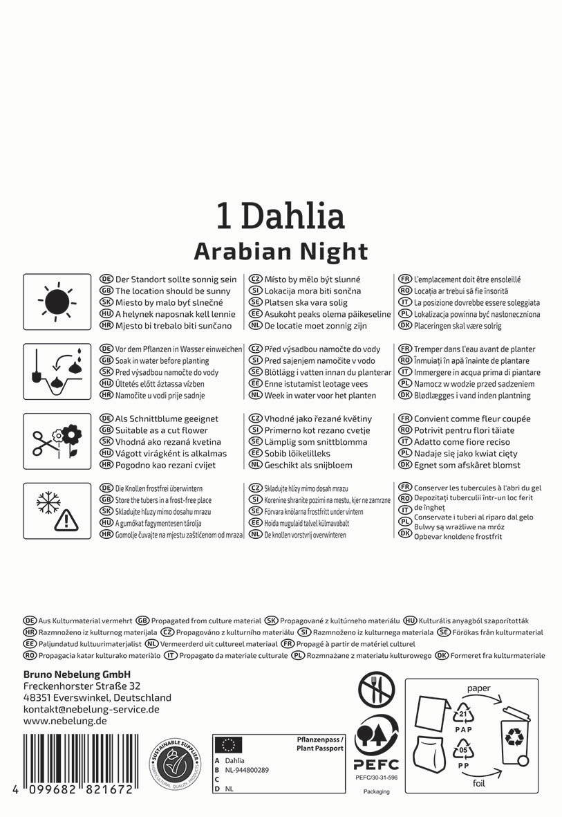 Pflege- und Pflanztipps für eine Dahlie, Symbole für Sonnenlicht, Wasser, Schneiden, Schnittblumen, Frostschutz.